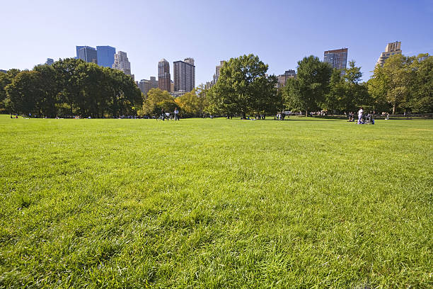 istock New York City # 26 XL 173595426