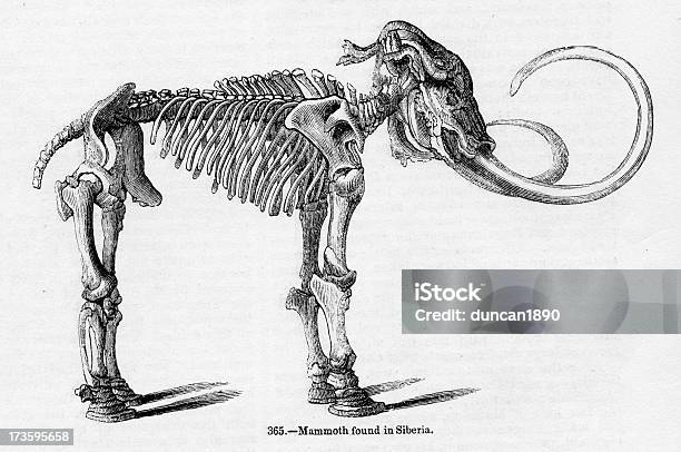 Mammoth Stock Vektor Art und mehr Bilder von Ausgestorbene Tierart - Ausgestorbene Tierart, Dickhäuter, Einzelnes Tier