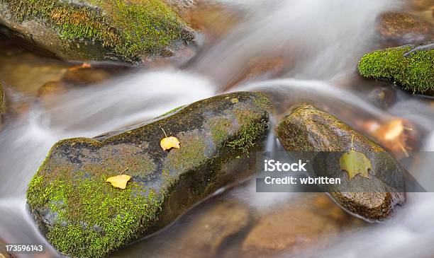 Song Der Stream Series Xxl Stockfoto und mehr Bilder von Abgeschiedenheit - Abgeschiedenheit, Aufnahme von unten, Auto-Naturpfad Roaring Fork