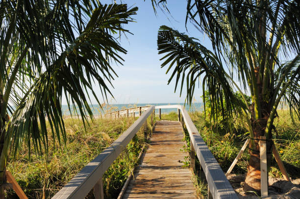 istock Boardwalk to a Sanibel Island Beach Florida 173596272