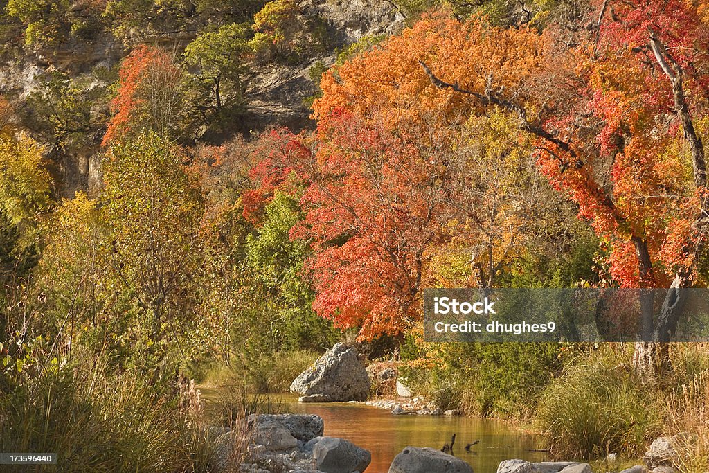 Jesień kolory w Texas Hill Country - Zbiór zdjęć royalty-free (Bez ludzi)