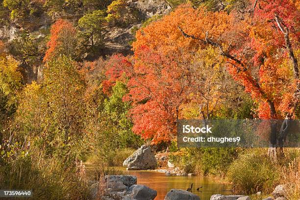 Outono Cores Em Texas Hill Country - Fotografias de stock e mais imagens de Colorido - Colorido, Cor Saturada, Cor Viva