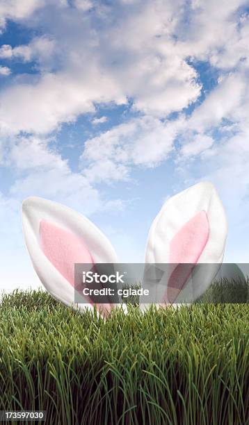 Polowanie Na Wielkanoc Jaja - zdjęcia stockowe i więcej obrazów 2000-2009 - 2000-2009, Bez ludzi, Chmura