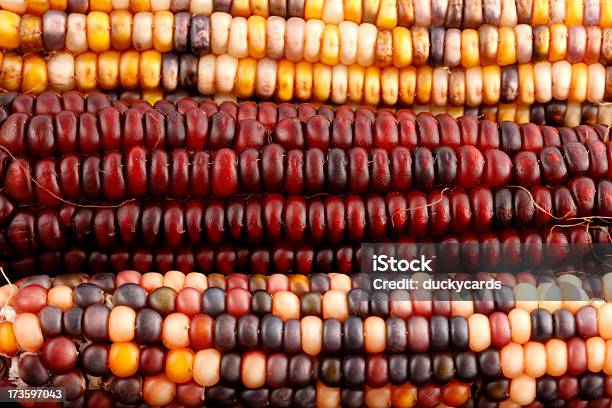 Mahiz Sfondo - Fotografie stock e altre immagini di Tre oggetti - Tre oggetti, Varietà - Concetto, Autunno