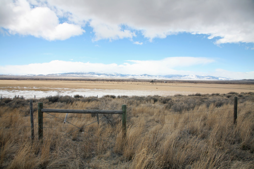 Cattle Country Southern Montana. East of Dillon and Butte. End of Winter.