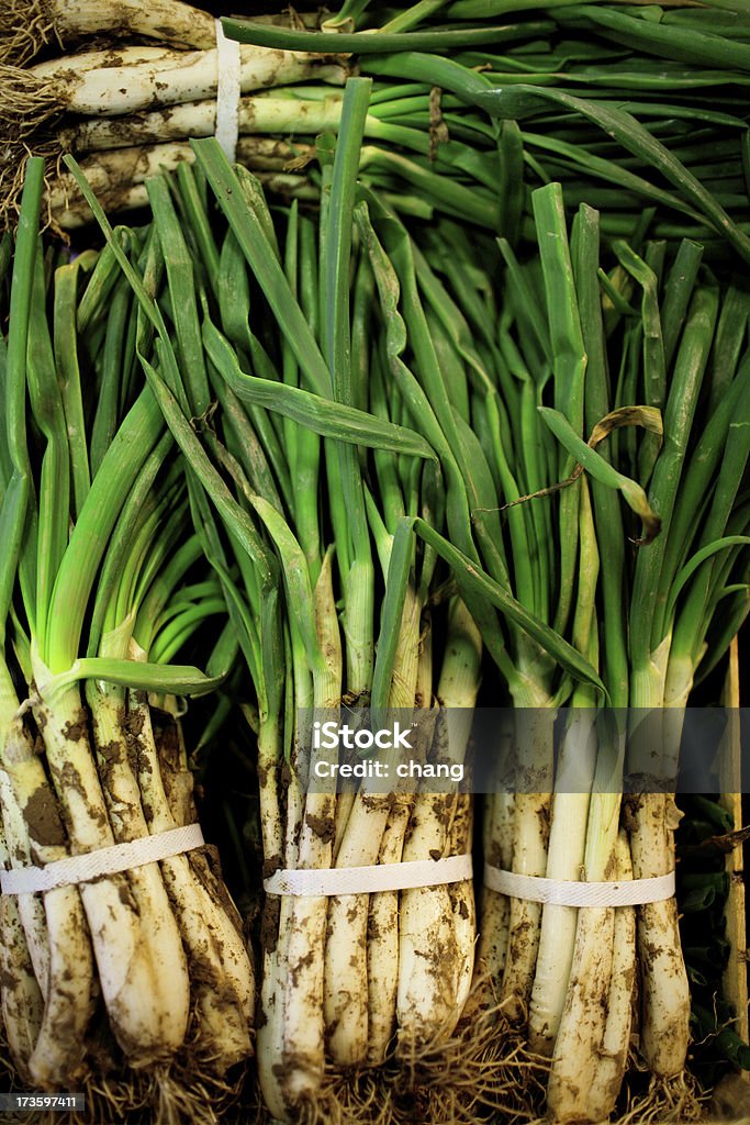 Cipolla verde - Foto stock royalty-free di Agricoltura