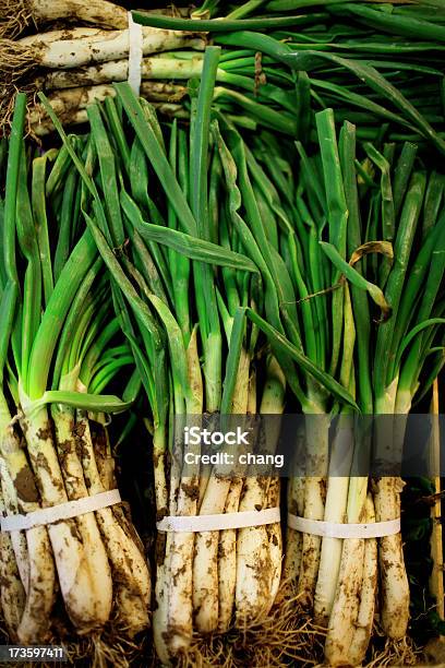 Cipolla Verde - Fotografie stock e altre immagini di Agricoltura - Agricoltura, Alimentazione sana, Cibi e bevande