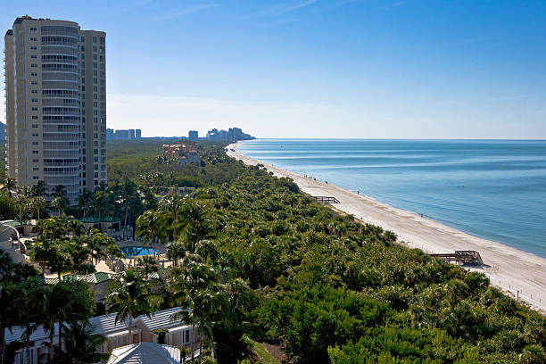 istock Highrise on the Gulf of Mexico 173597813