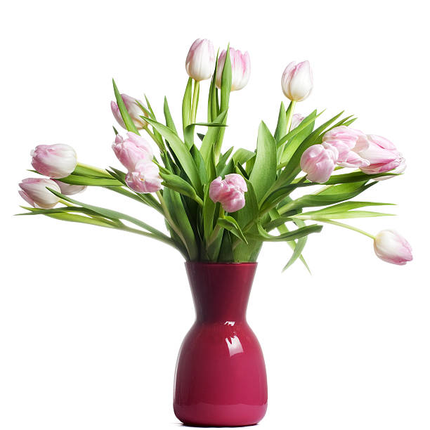 istock Pink Tulips in a Purple Bowl 173597958