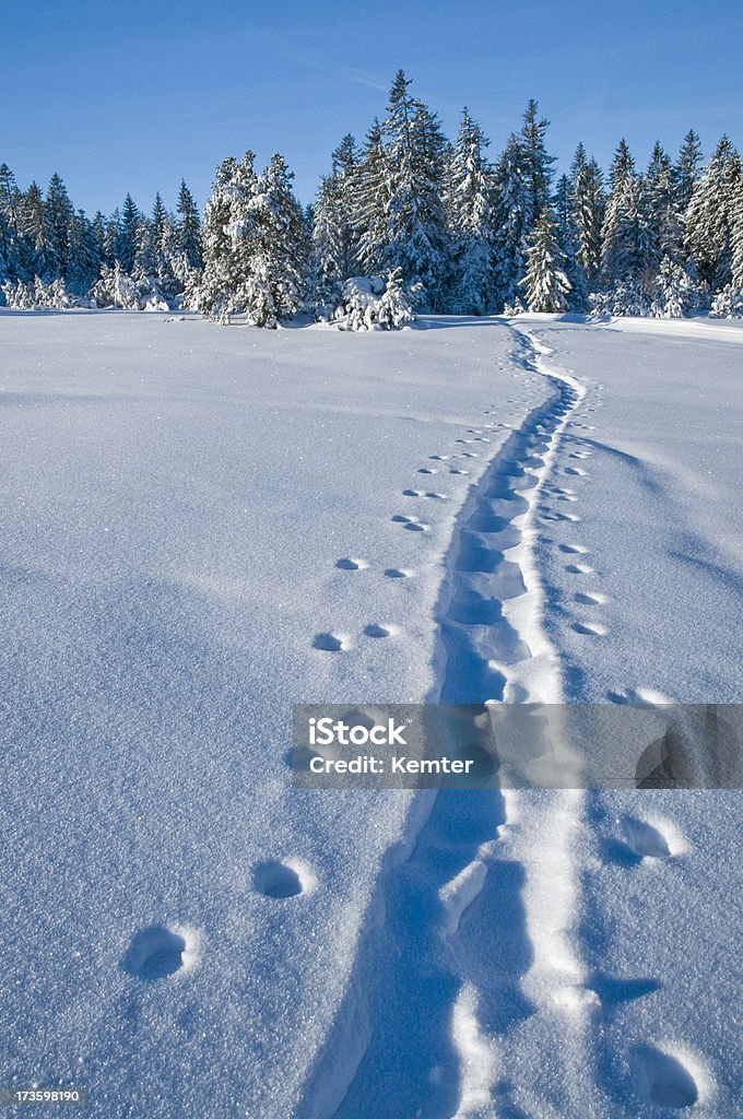 winterlandscape com pista de esqui - Foto de stock de Inverno royalty-free