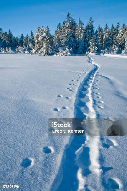 Foto de Winterlandscape Com Pista De Esqui e mais fotos de stock de Inverno - Inverno, Azul, Beleza natural - Natureza