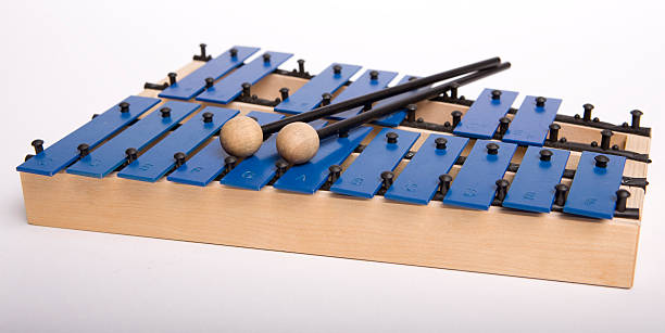 istock Musical instrument xylophone 173598235