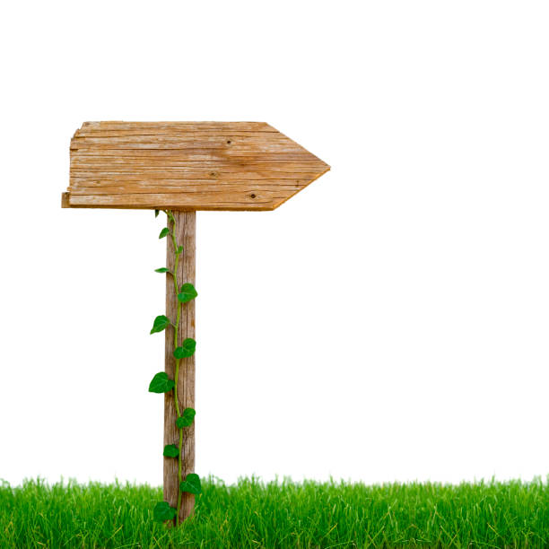 istock Wooden sign post in the grass 173598251