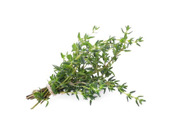 istock Bunch of fresh thyme isolated on white 1735984636