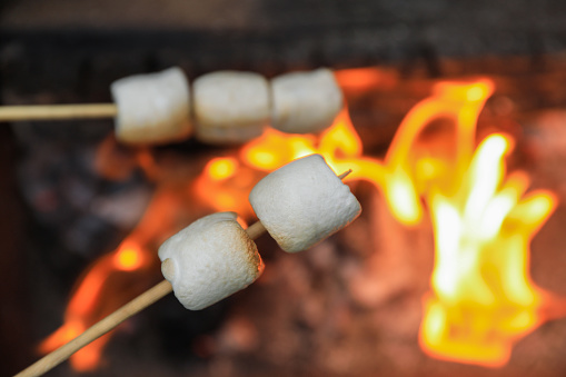 Delicious puffy marshmallows roasting over bonfire, closeup