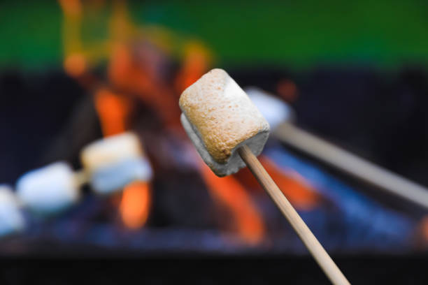 istock Delicious puffy marshmallows roasting over bonfire, closeup. Space for text 1735988824