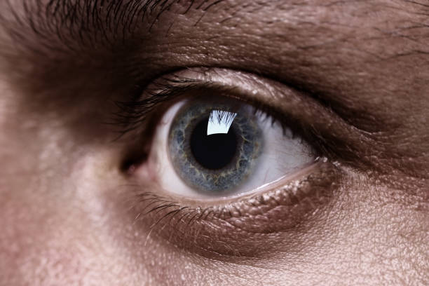 istock Macro shot of grey man's eye 173599139