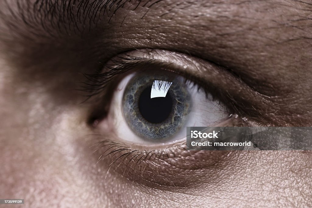 Macro shot of grey человек's глаз - Стоковые фото Близость роялти-фри