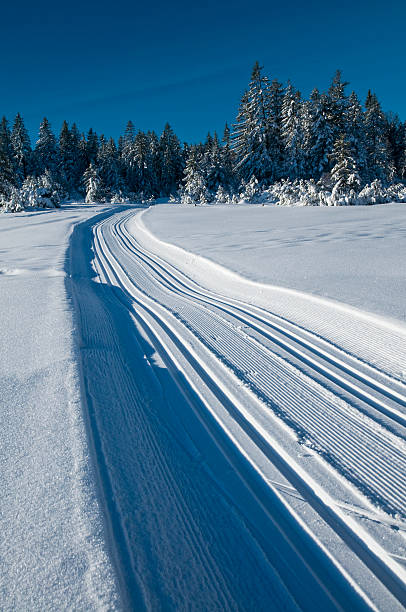 istock winterlandscape with ski track 173599583