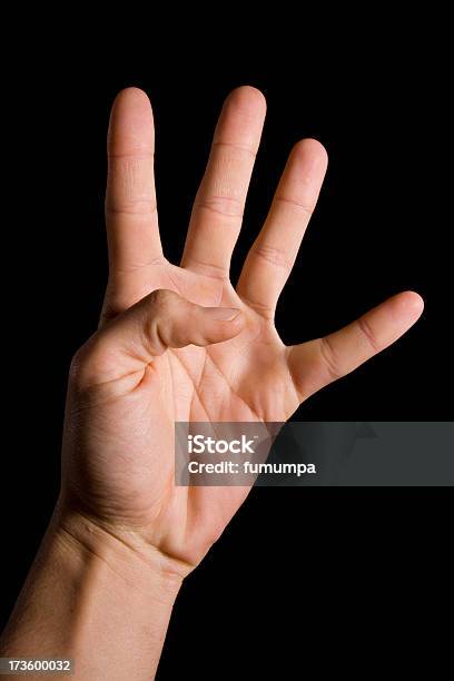 Mão Humana Número 4 - Fotografias de stock e mais imagens de Articulação - Mão Humana - Articulação - Mão Humana, Comunicação, Conceito