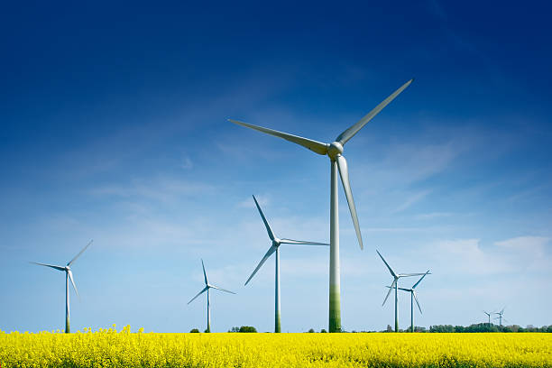 turbine eoliche nel campo di stupro - cirrostratus foto e immagini stock