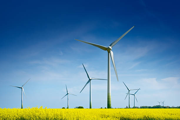 Wind Turbines in a Rape Field "Wind Turbines in a Rape Field, Denmark" ecological reserve photos stock pictures, royalty-free photos & images