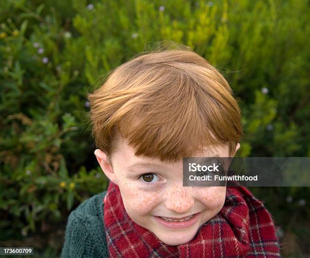 Menino Cabelo Ruivo Sarda Cara Sorridente Natal Criança Malícia Maker - Fotografias de stock e mais imagens de 6-7 Anos