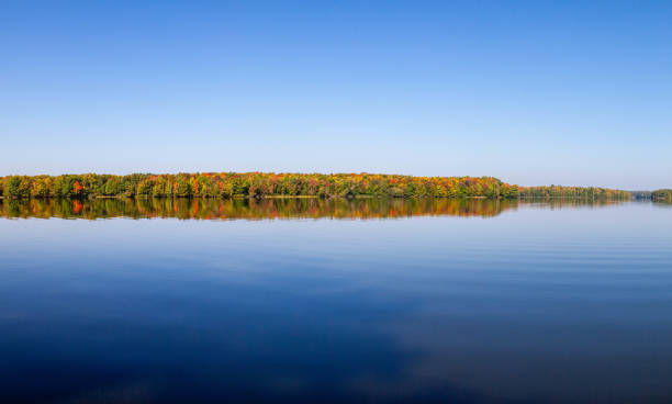 istock Reflection of a colorful forest in the Wisconsin River 1736016823