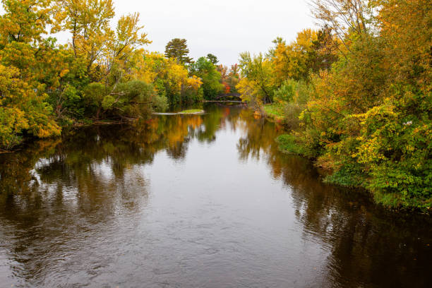 Stream going under a bridge through a colorful forest in Merril, Wisconsin
