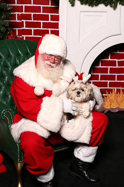 espace de repos avec le père noël - santa dog photos et images de collection