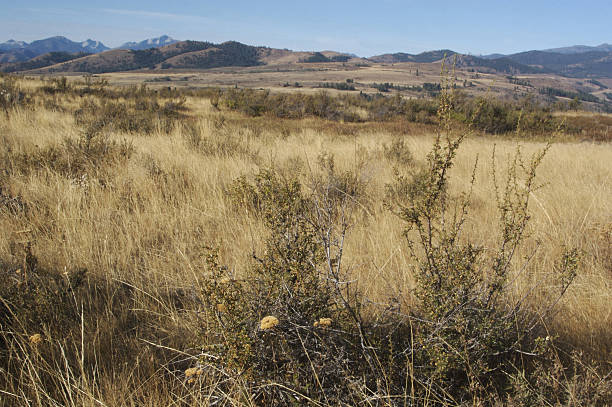 istock Vast Open Land On The Prairies 173601812