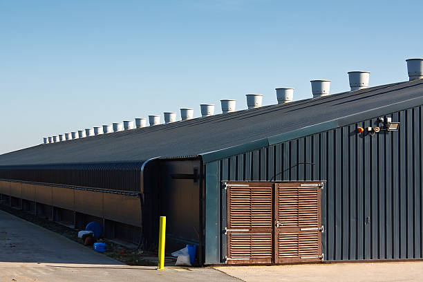 Commercial poultry farming building