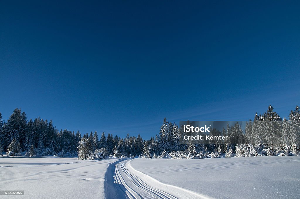 winterlandscape avec Trace de ski - Photo de Arbre libre de droits