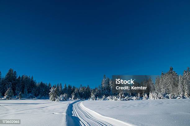 Photo libre de droit de Winterlandscape Avec Trace De Ski banque d'images et plus d'images libres de droit de Arbre - Arbre, Beauté de la nature, Blanc