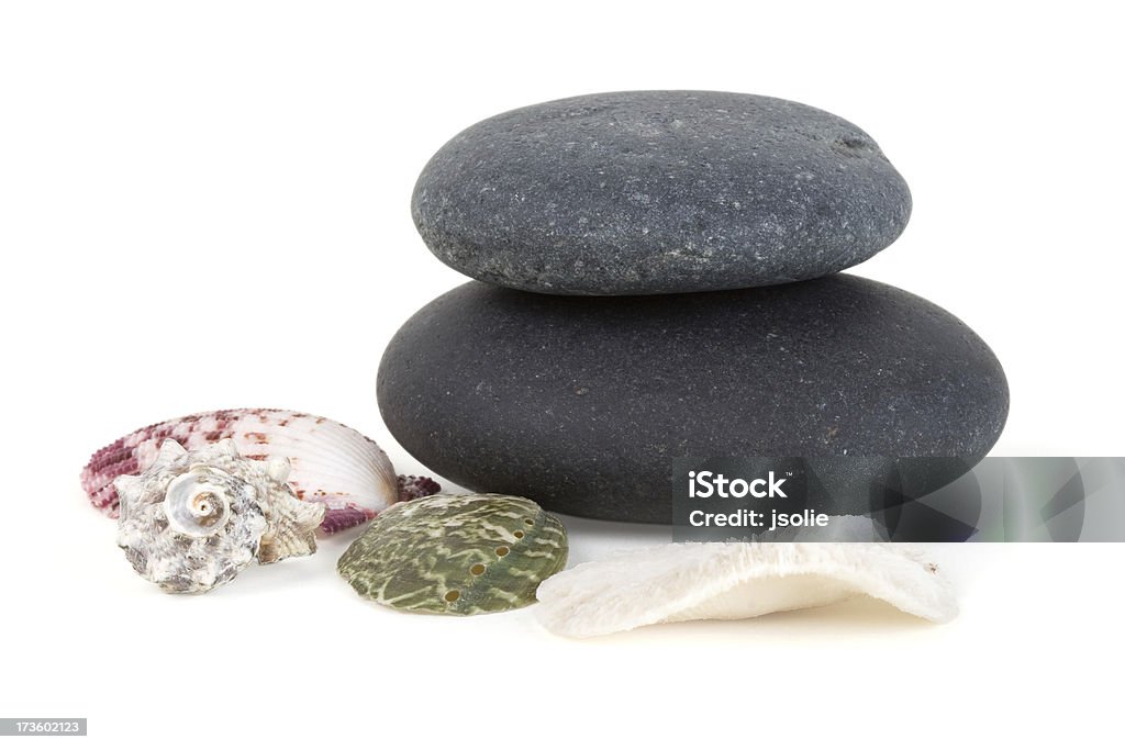 Pedras e conchas - Foto de stock de Concha - Parte do corpo animal royalty-free