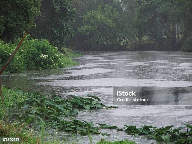 Geschwollen Creek Stockfoto und mehr Bilder von Ast - Pflanzenbestandteil - Ast - Pflanzenbestandteil, Bach, Baum