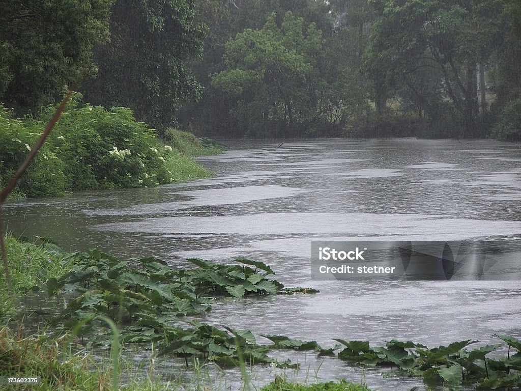 Gonfio Creek - Foto stock royalty-free di Acqua