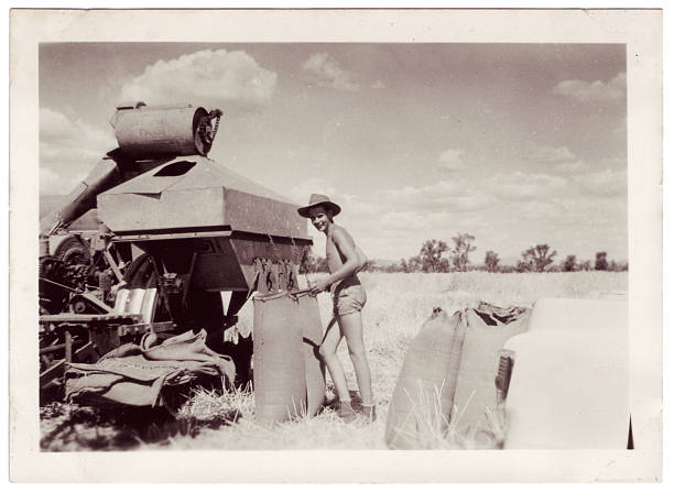 Australia's Working Man loading wheat farm photos stock pictures, royalty-free photos & images