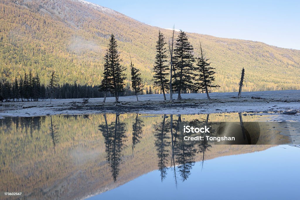 Morning at Kanas river "Morning at Kanas river, Xinjiang, China" Autumn Stock Photo