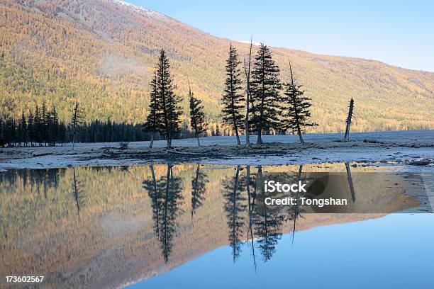 Morning At Kanas River Stock Photo - Download Image Now - Autumn, China - East Asia, Chinese Culture