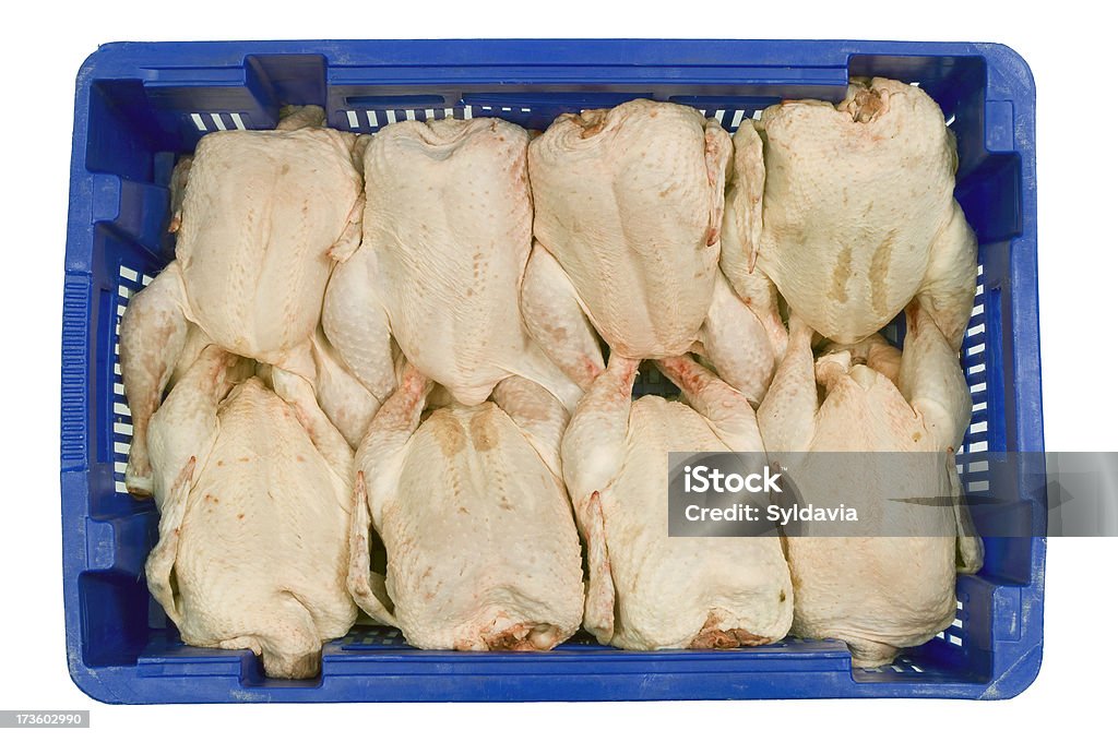 Chicken "Box full of chickens, seen from above with a white background" Chicken Meat Stock Photo