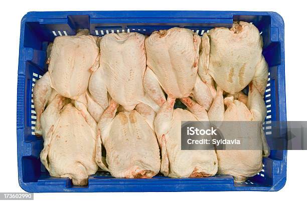 Chicken Stock Photo - Download Image Now - Chicken Meat, Box - Container, Chicken - Bird