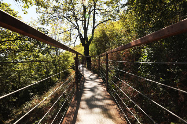View of empty old stairs in park