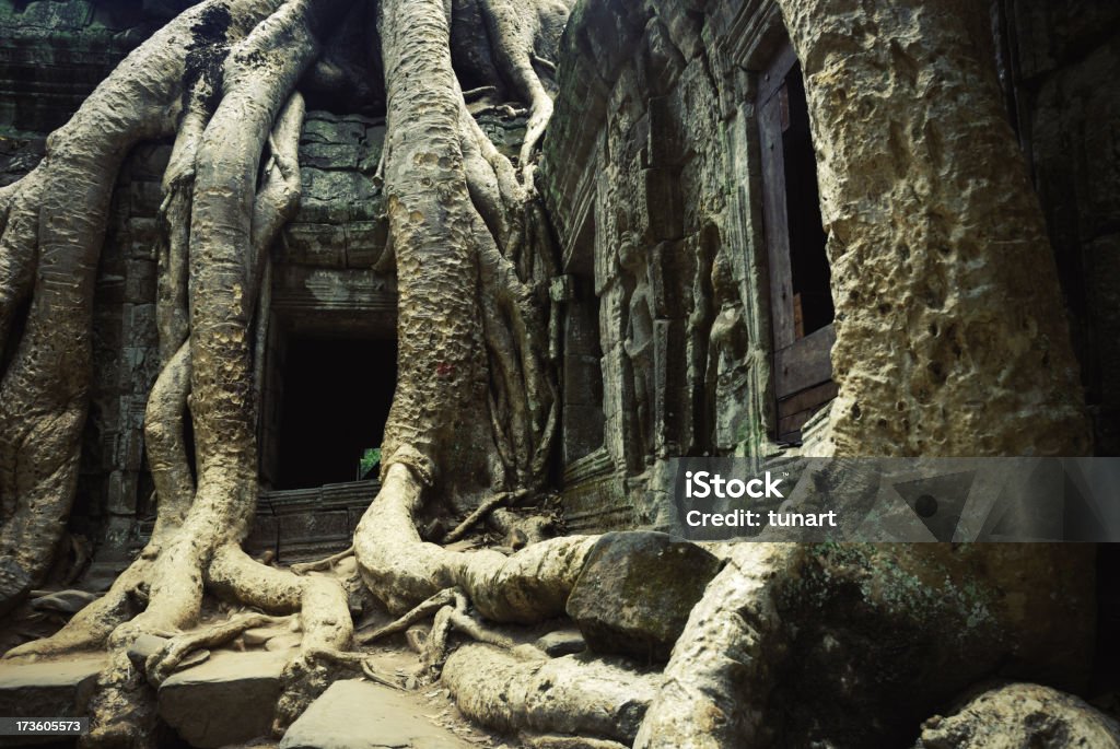 Antiga Angkor - Foto de stock de Angkor royalty-free