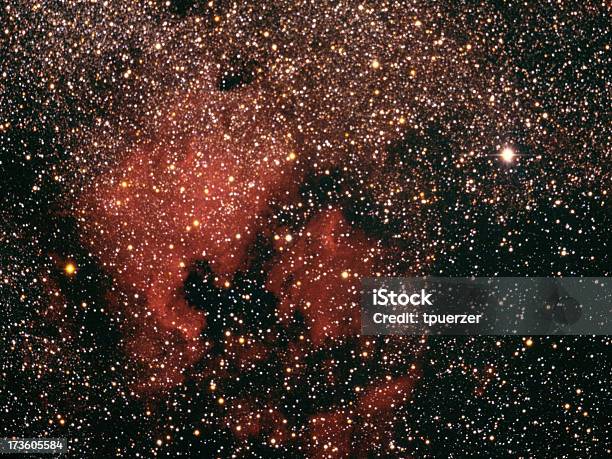 North American Nebel In Cygnus Stockfoto und mehr Bilder von Astronomie - Astronomie, Außerirdischer, Bedecken