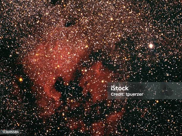 Nebulosa Del Nord America Cygnus - Fotografie stock e altre immagini di Alieno - Alieno, Astronomia, Bruciare