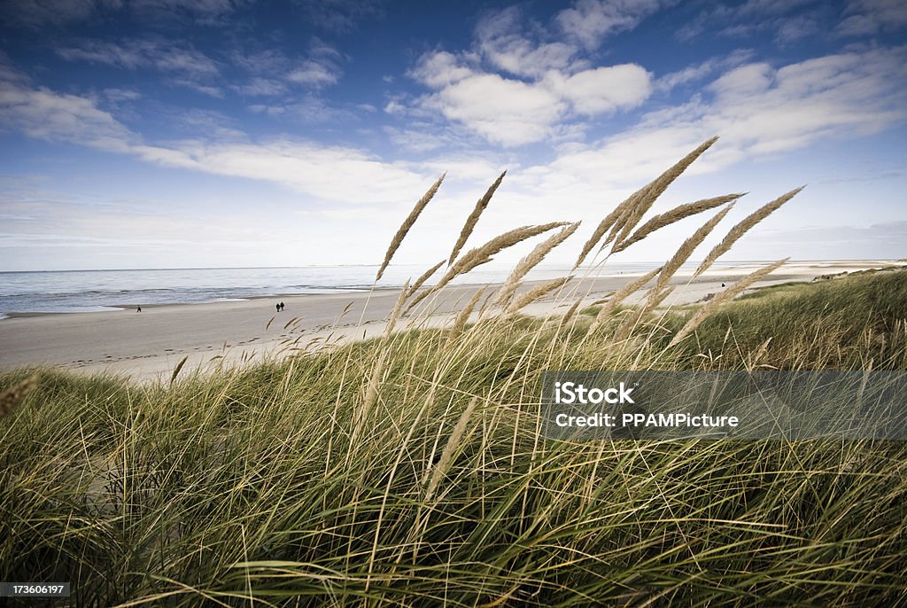Vista della spiaggia frome una Duna - Foto stock royalty-free di Duna
