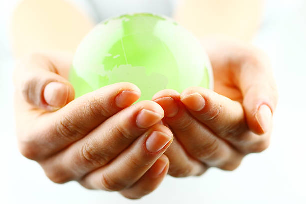 green globe world eco concept, natural green leaf