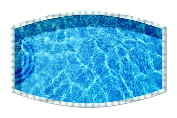 istock Swimming pool on white background, top view 1736062538