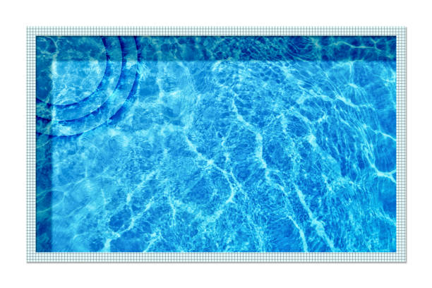 istock Rectangle shaped swimming pool on white background, top view 1736062540